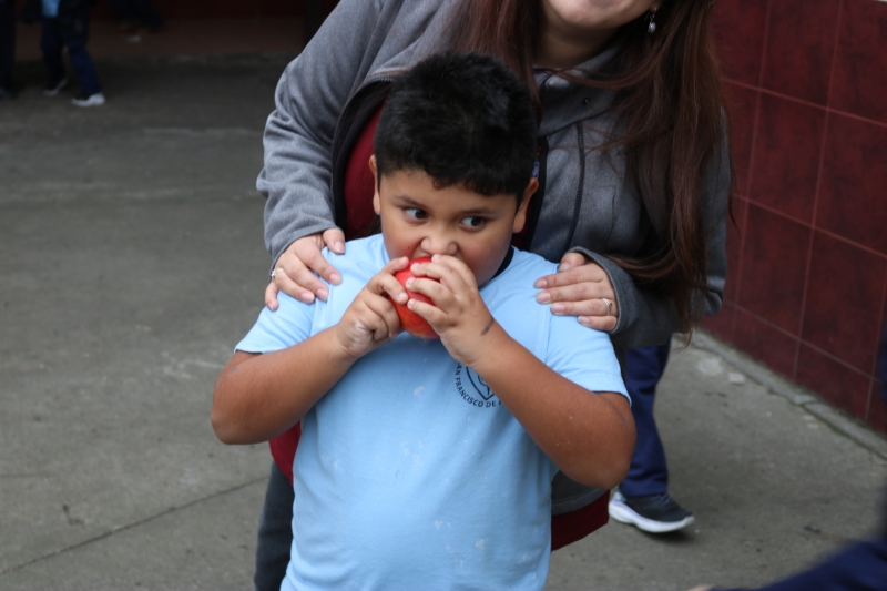 Día de la Actividad Física
